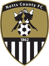 https://img.hbaoyu.com/img/football/team/9e230c89a846b9cadf91884918fa7611.png